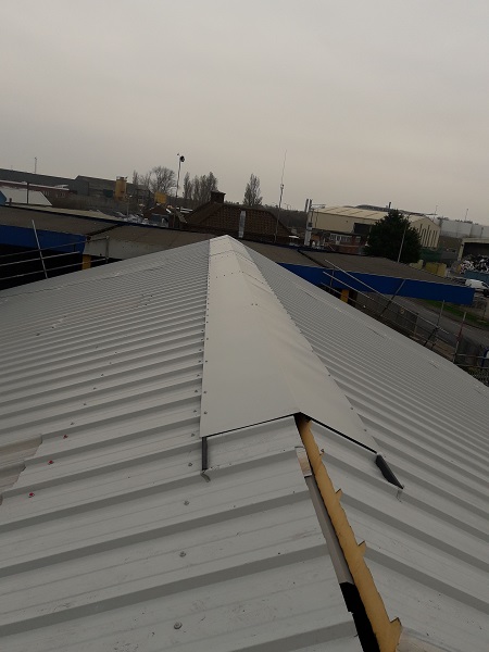 Pelagia new processing plant roof works ridge installation
